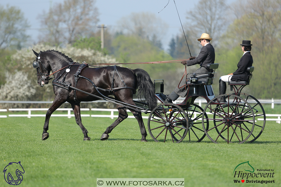 Kladruby 2018 - drezury čtvrtek