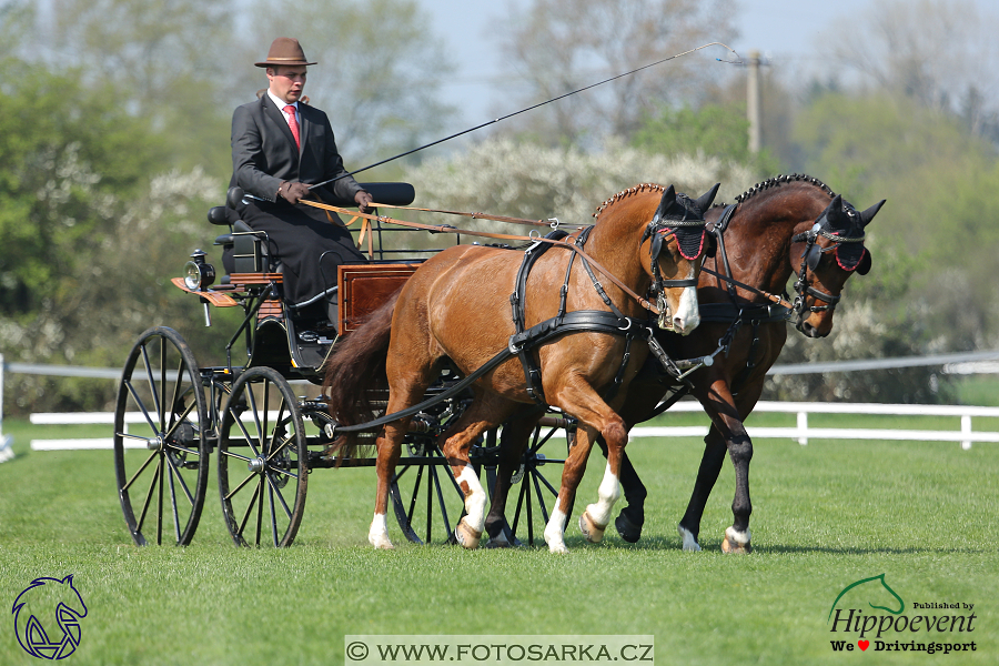 Kladruby 2018 - drezury čtvrtek