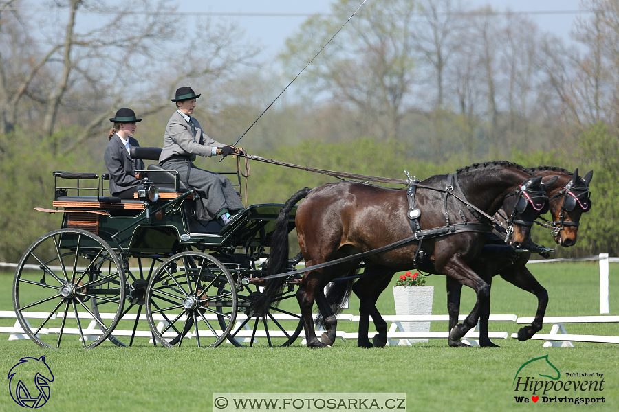 Kladruby 2018 - drezury čtvrtek