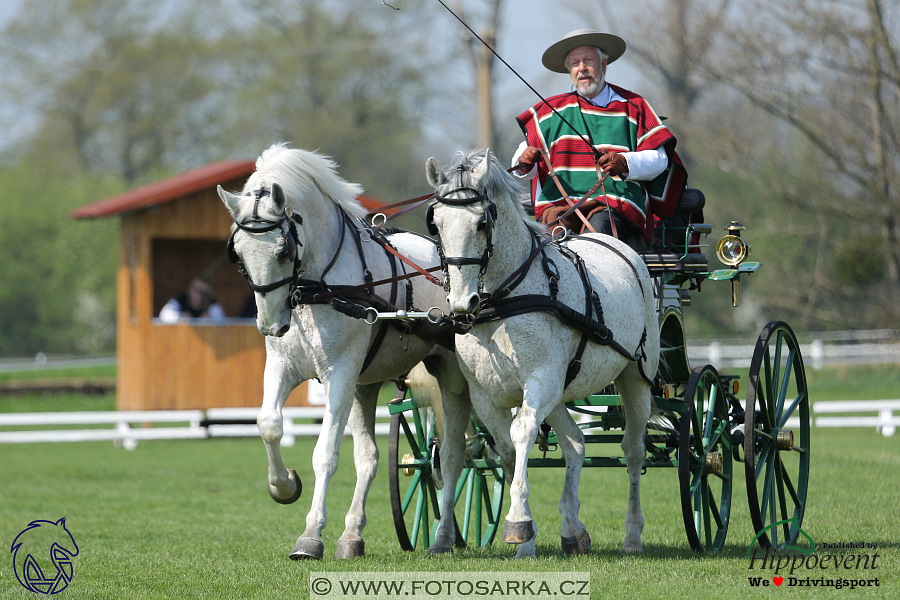 Kladruby 2018 - drezury čtvrtek