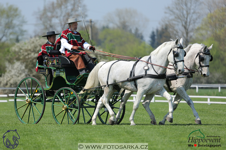 Kladruby 2018 - drezury čtvrtek