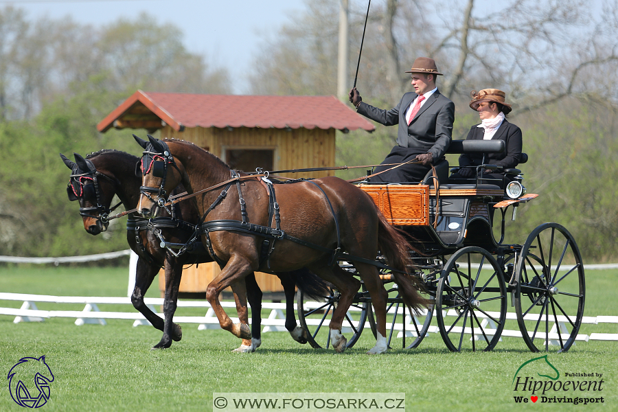 Kladruby 2018 - drezury čtvrtek