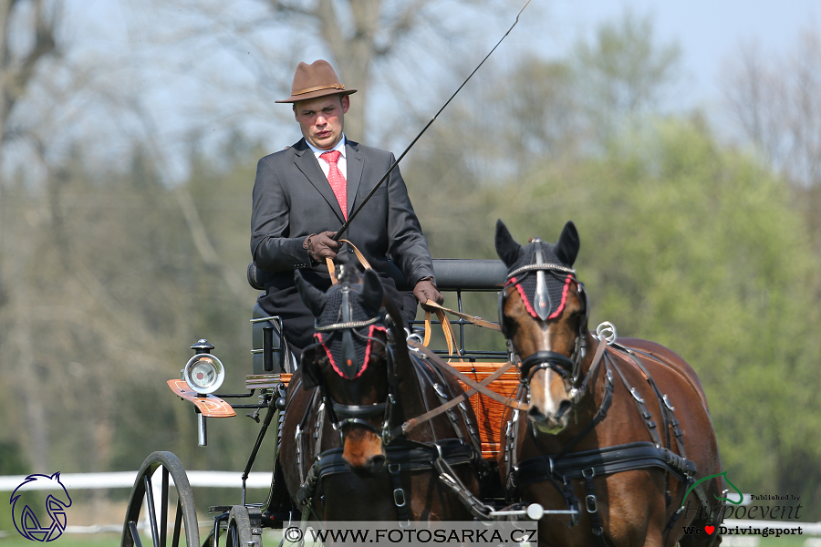 Kladruby 2018 - drezury čtvrtek