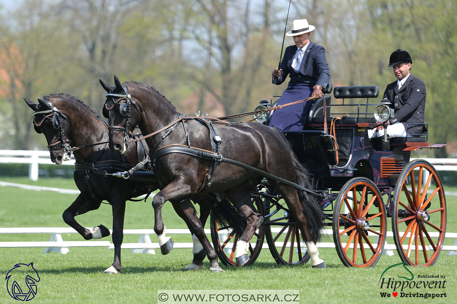 Kladruby 2018 - drezury čtvrtek