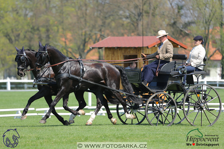 Kladruby 2018 - drezury čtvrtek