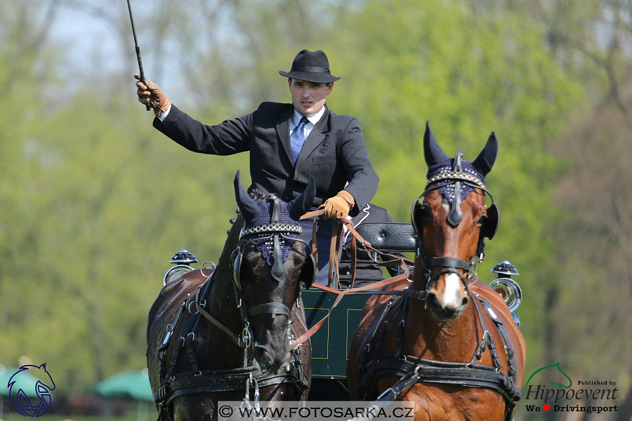 Kladruby 2018 - drezury čtvrtek