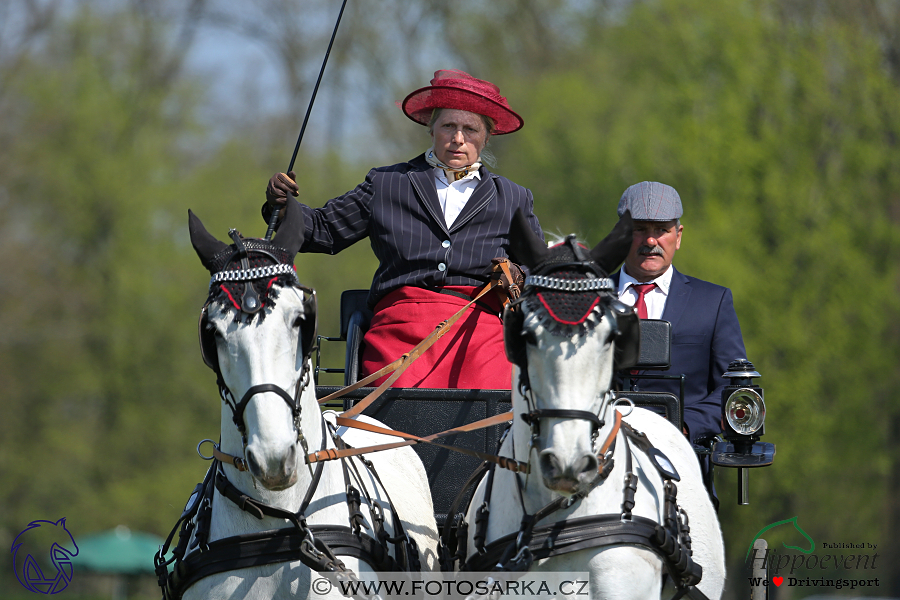 Kladruby 2018 - drezury čtvrtek