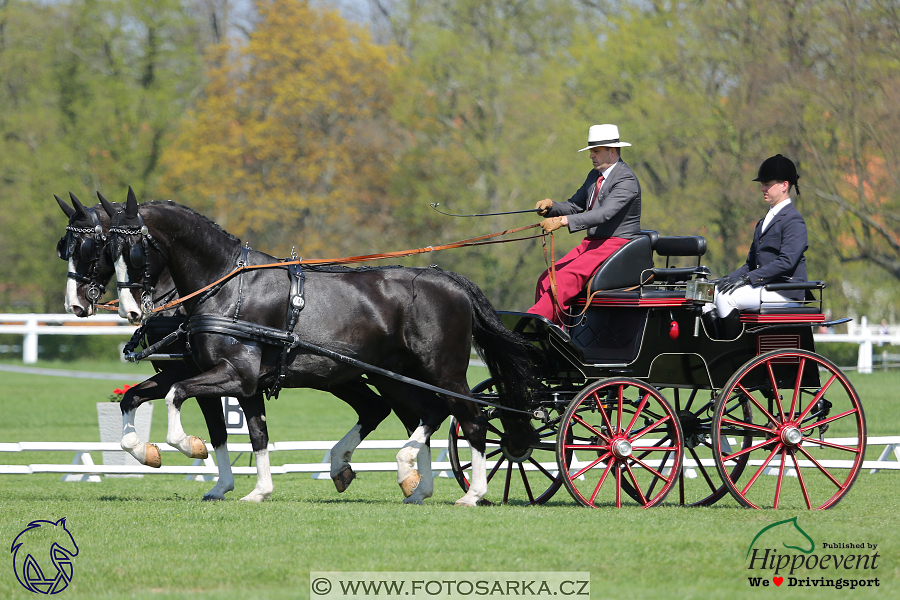 Kladruby 2018 - drezury čtvrtek