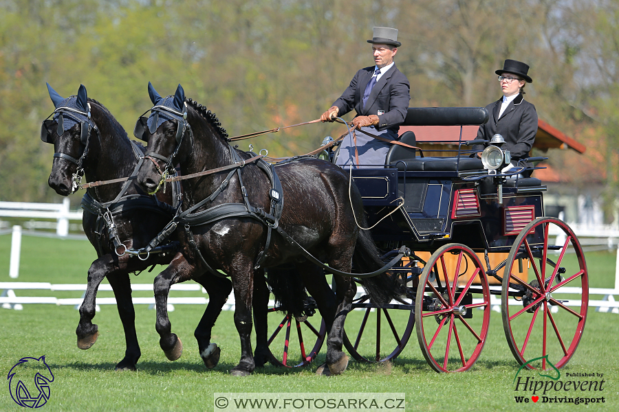 Kladruby 2018 - drezury čtvrtek