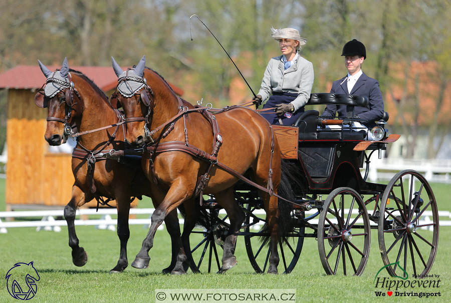 Kladruby 2018 - drezury čtvrtek