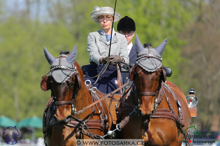 Kladruby 2018 - drezury čtvrtek