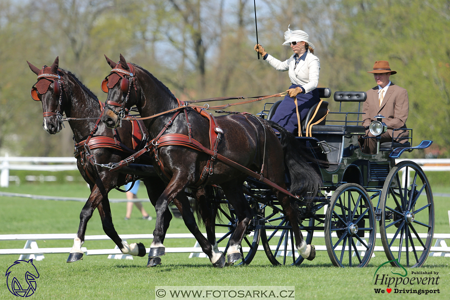 Kladruby 2018 - drezury čtvrtek