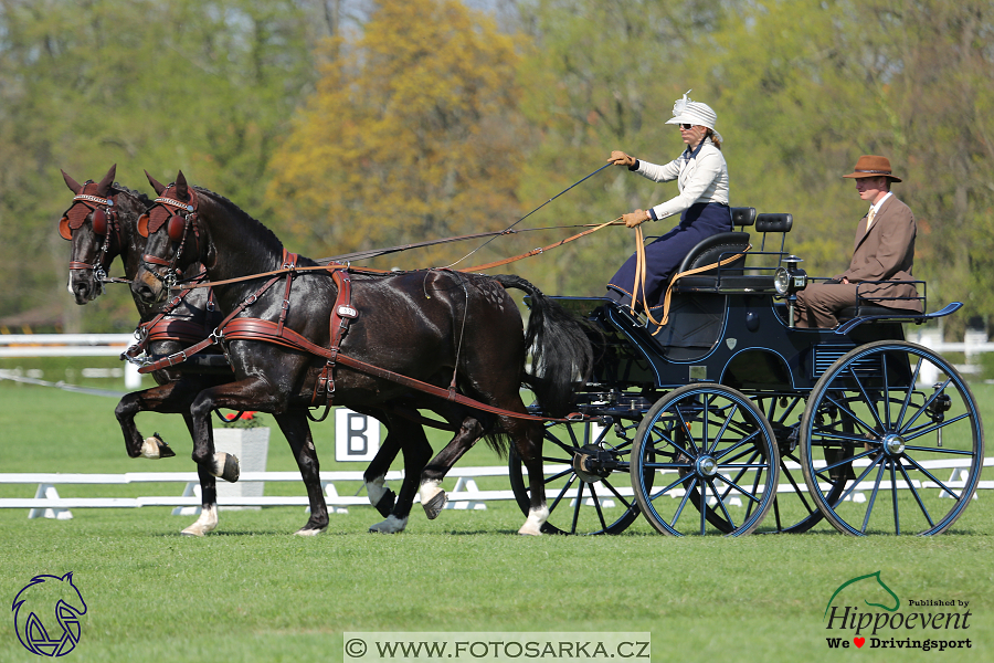 Kladruby 2018 - drezury čtvrtek