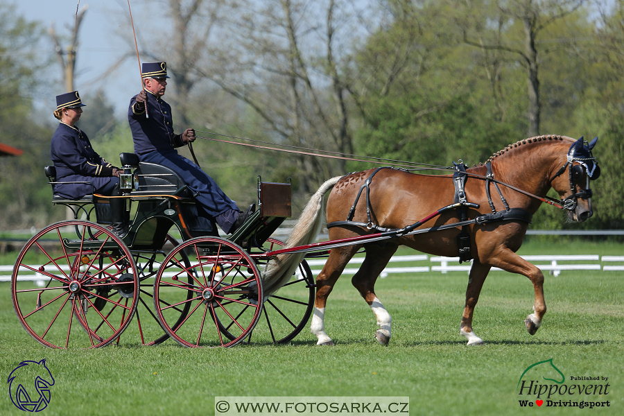 Kladruby 2018 - drezury pátek