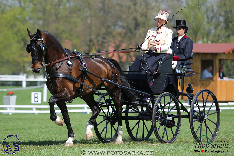 Kladruby 2018 - drezury pátek