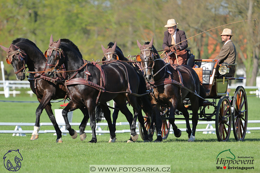 Kladruby 2018 - drezury pátek