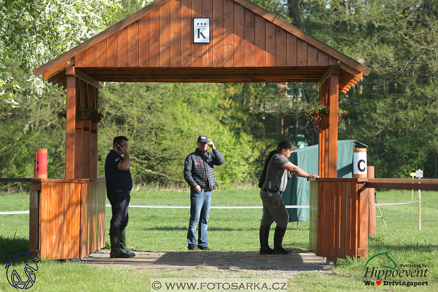 Kladruby 2018 - maraton sobota