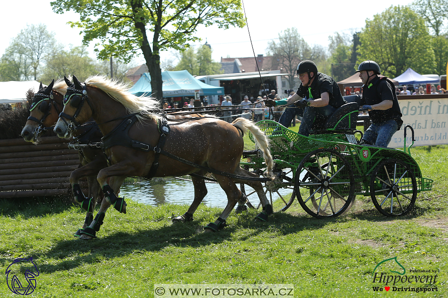 Kladruby 2018 - maraton sobota