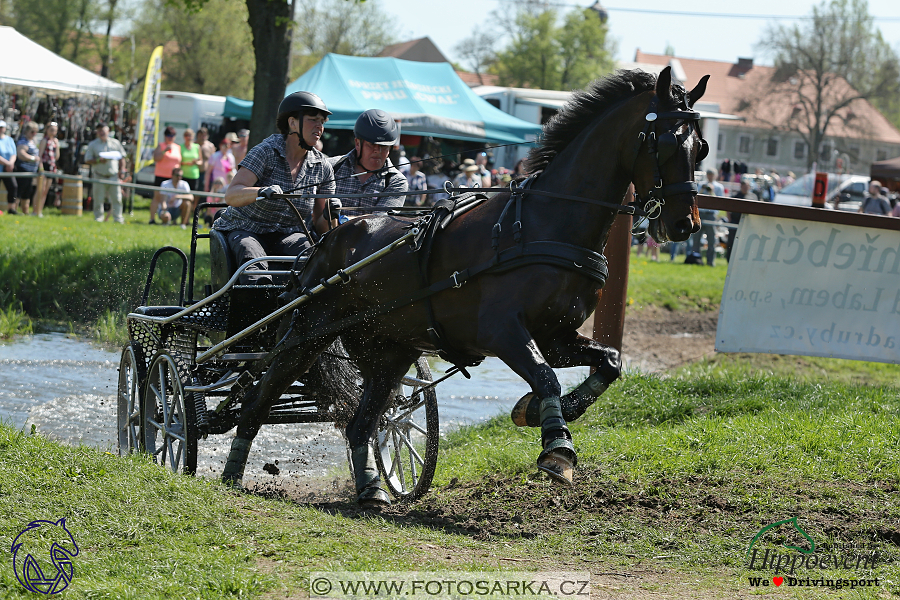 Kladruby 2018 - maraton sobota