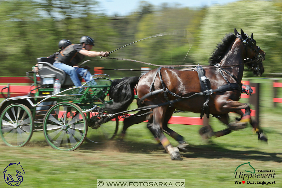 Kladruby 2018 - maraton sobota