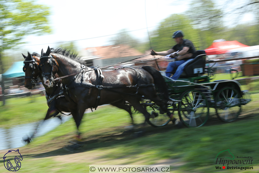 Kladruby 2018 - maraton sobota