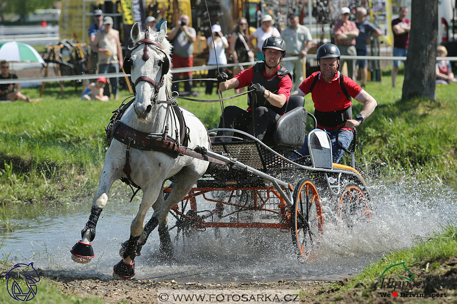 Kladruby 2018 - maraton sobota