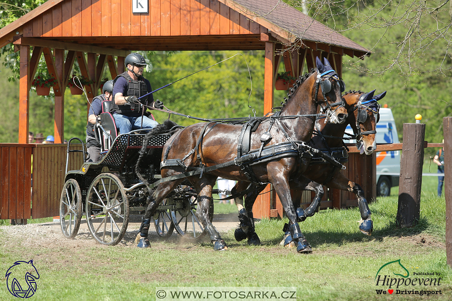 Kladruby 2018 - maraton sobota