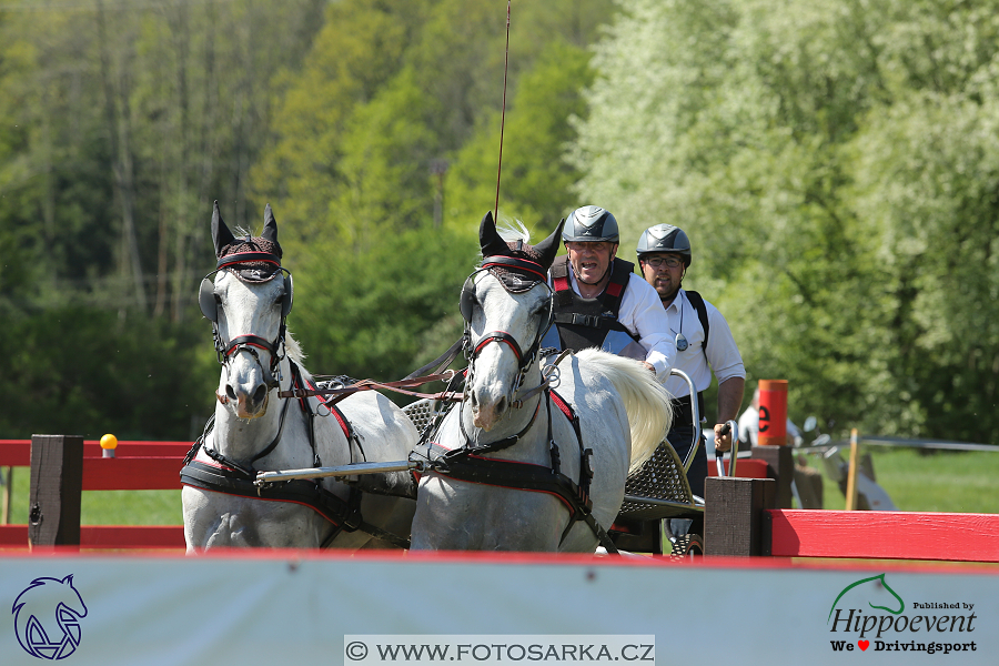 Kladruby 2018 - maraton sobota