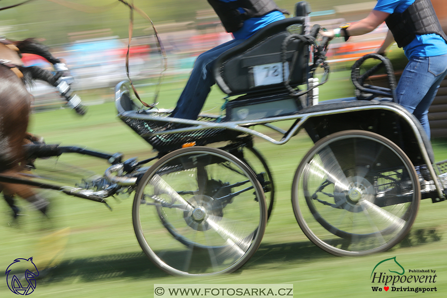 Kladruby 2018 - maraton sobota
