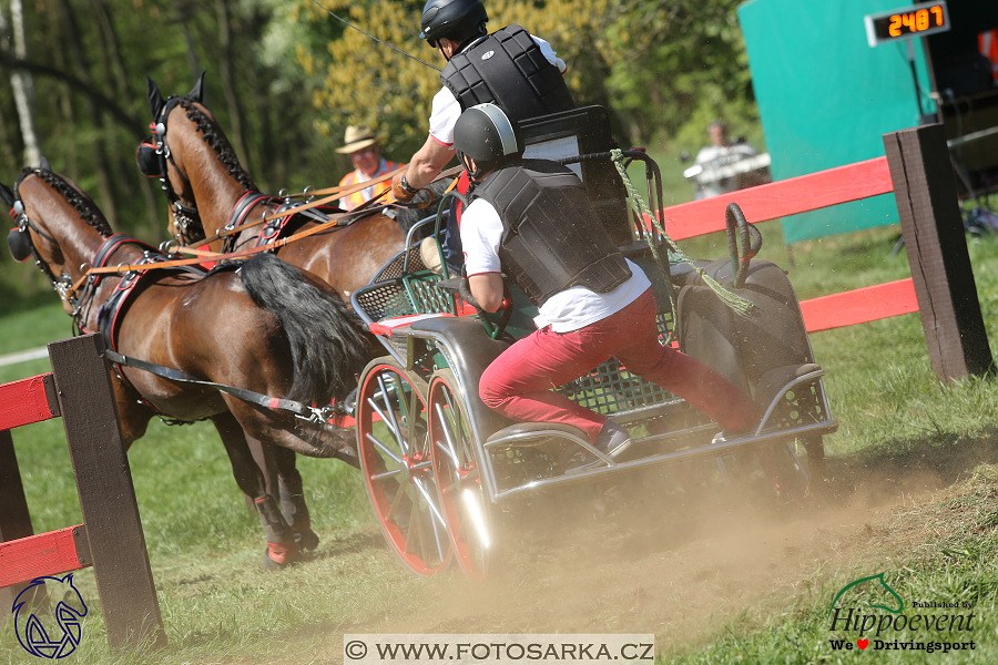 Kladruby 2018 - maraton sobota