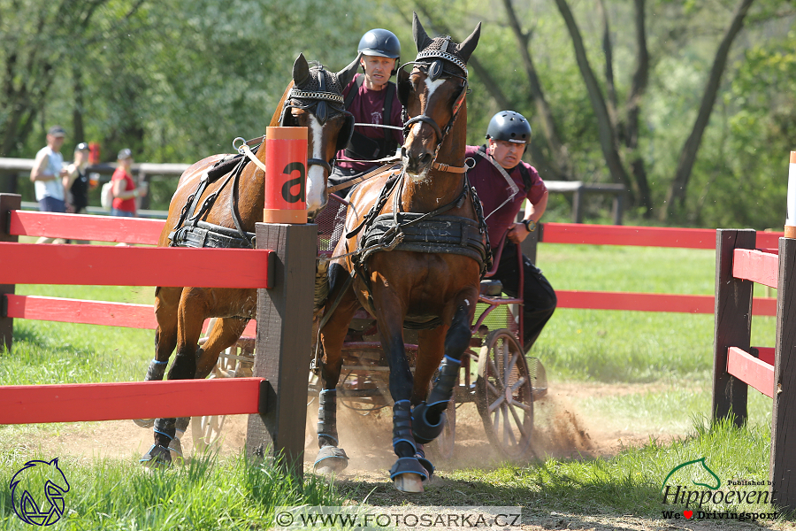 Kladruby 2018 - maraton sobota