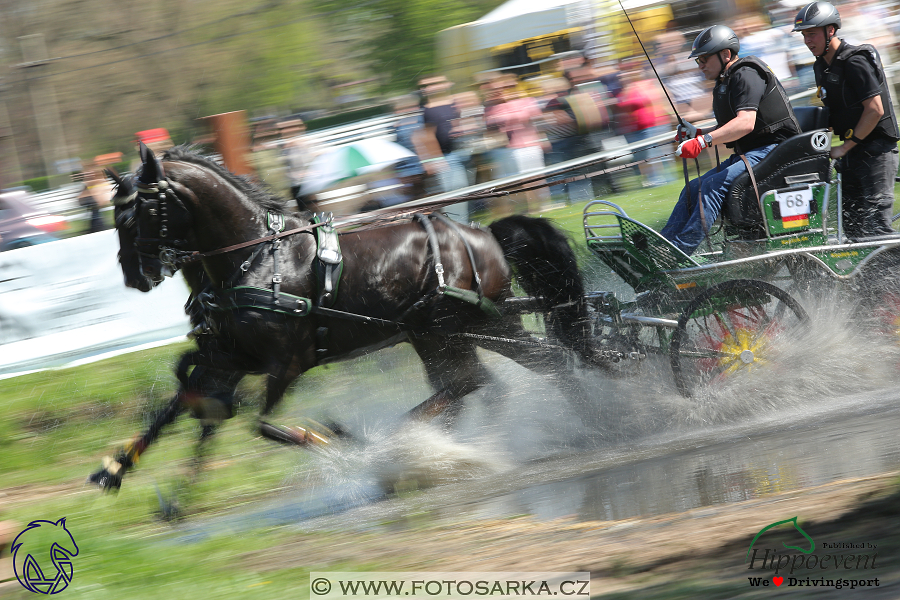 Kladruby 2018 - maraton sobota
