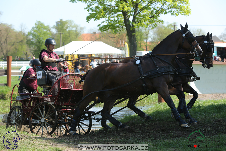 Kladruby 2018 - maraton sobota
