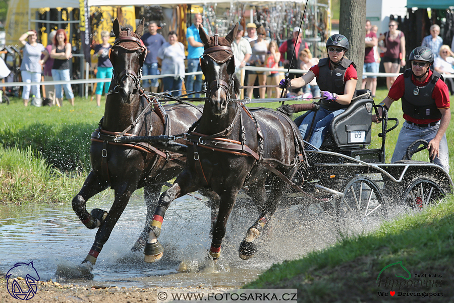 Kladruby 2018 - maraton sobota