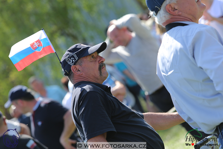 Kladruby 2018 - maraton sobota