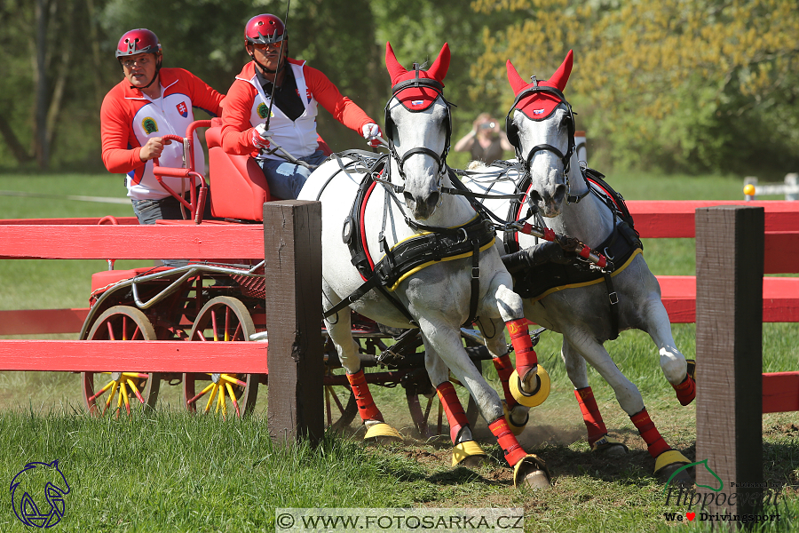 Kladruby 2018 - maraton sobota