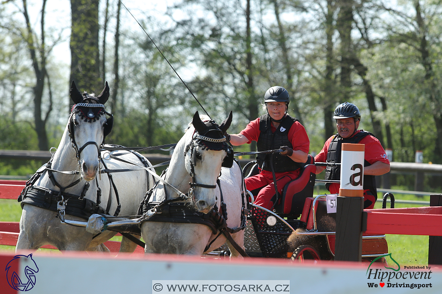 Kladruby 2018 - maraton sobota