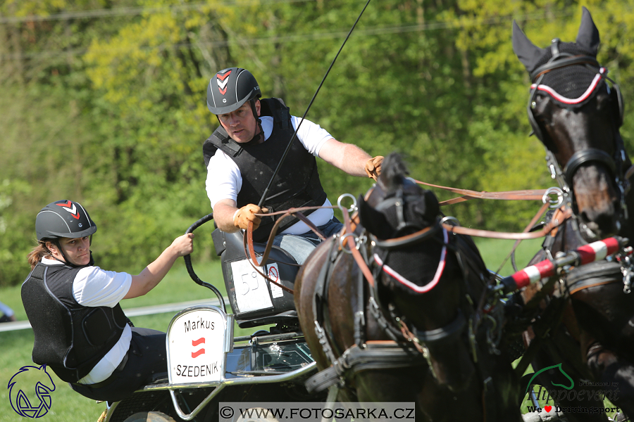 Kladruby 2018 - maraton sobota