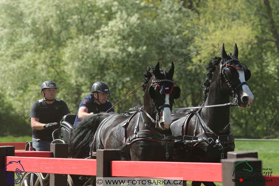 Kladruby 2018 - maraton sobota
