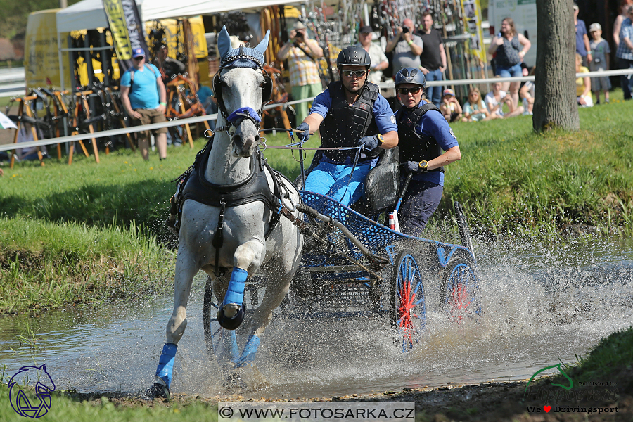 Kladruby 2018 - maraton sobota