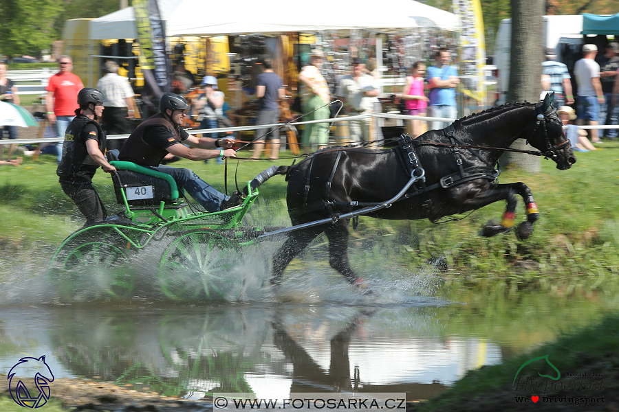 Kladruby 2018 - maraton sobota
