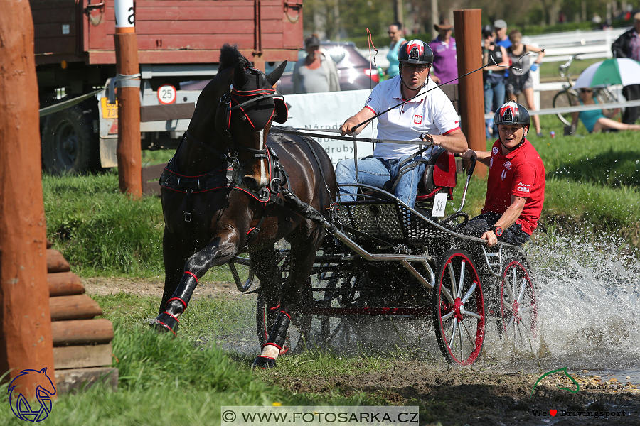 Kladruby 2018 - maraton sobota