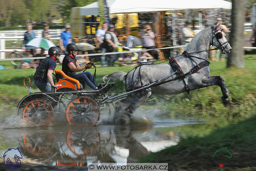 Kladruby 2018 - maraton sobota