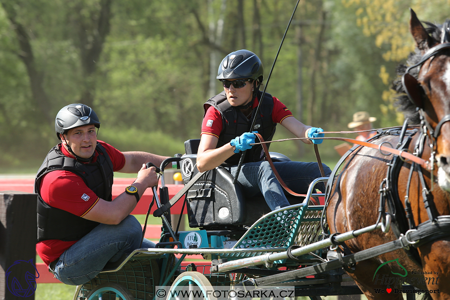 Kladruby 2018 - maraton sobota