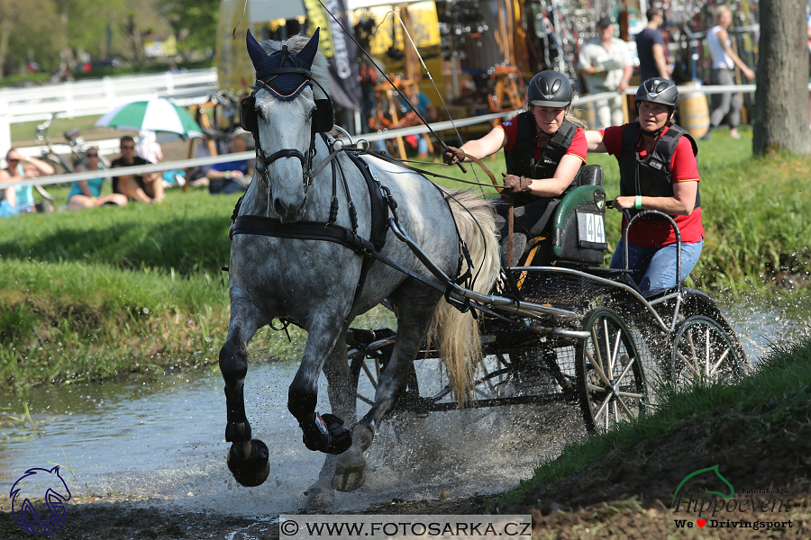 Kladruby 2018 - maraton sobota