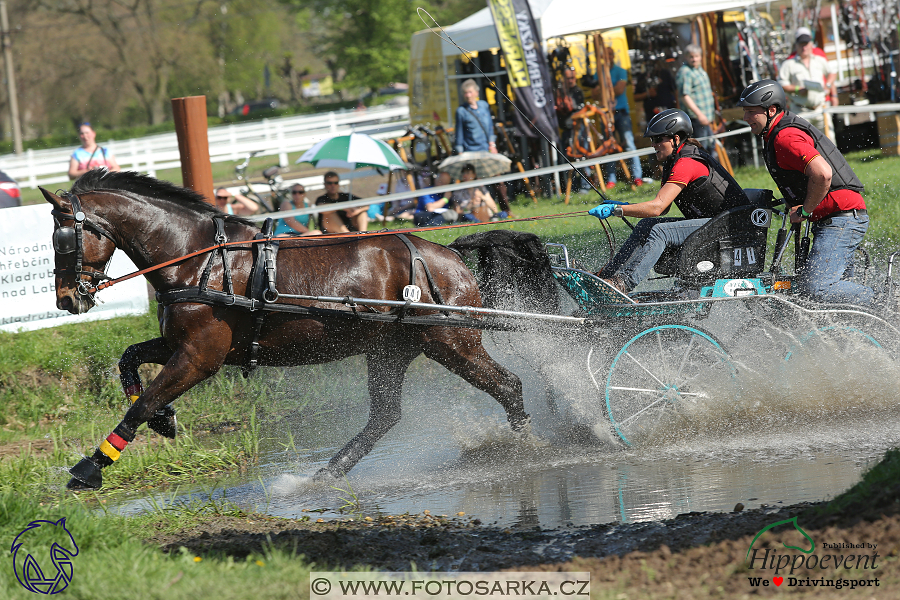 Kladruby 2018 - maraton sobota