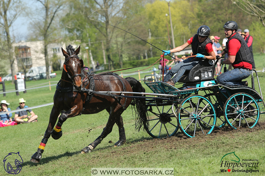 Kladruby 2018 - maraton sobota