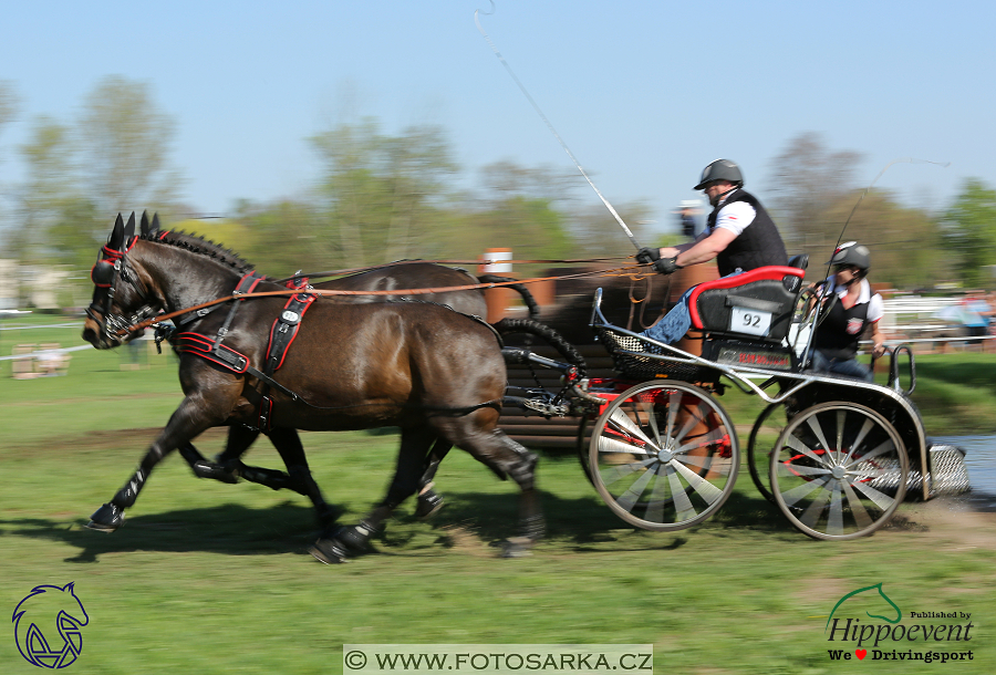 Kladruby 2018 - maraton sobota