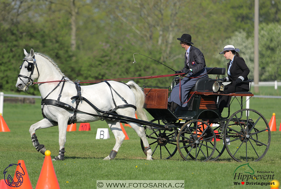 Kladruby 2018 - neděle parkur