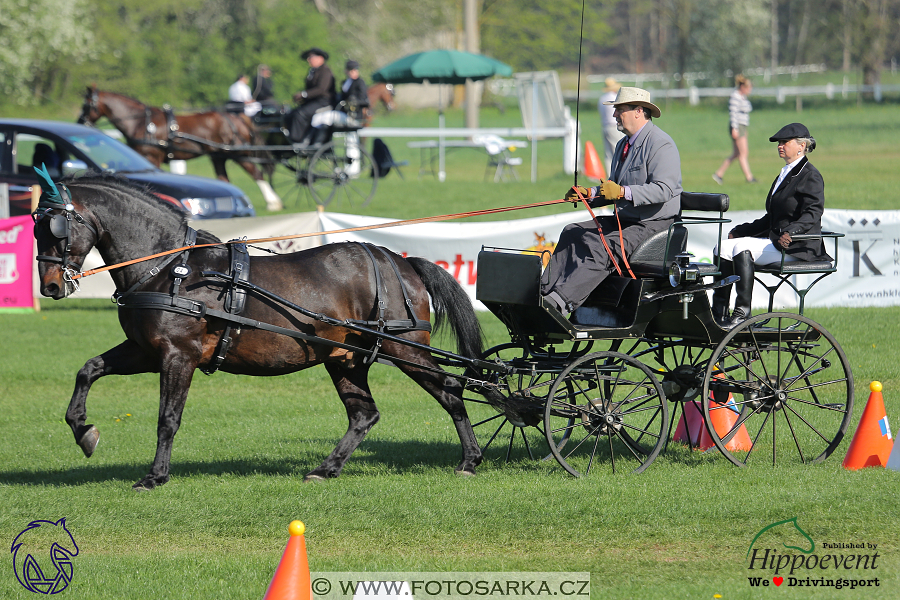 Kladruby 2018 - neděle parkur